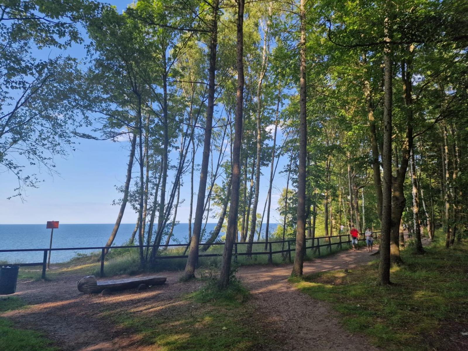 Osrodek Promenada- Faleza Jastrzębia Góra Buitenkant foto