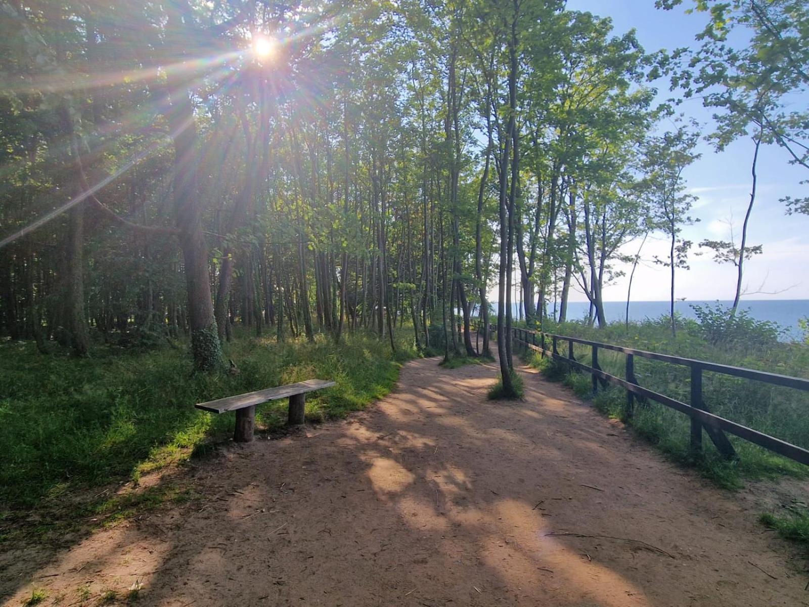 Osrodek Promenada- Faleza Jastrzębia Góra Buitenkant foto
